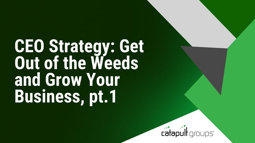 CEO Strategy: Get Out of the Weeds and Grow Your Business, pt.1 | Catapult Groups