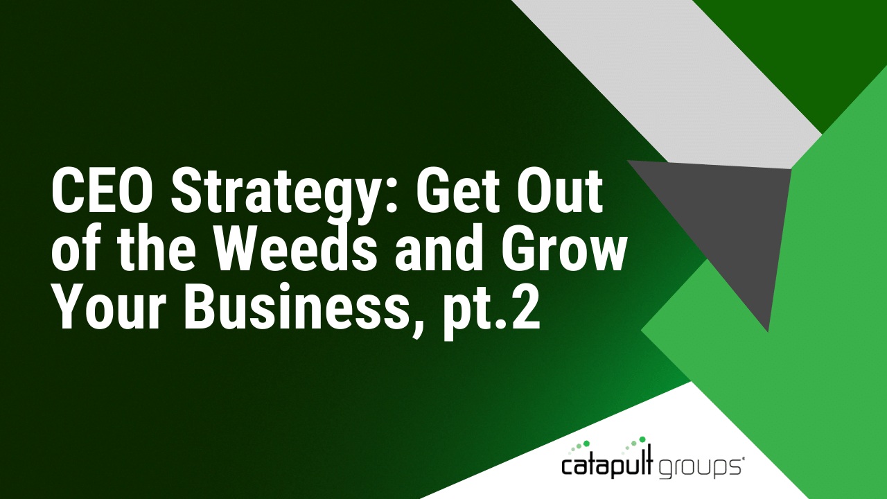 CEO Strategy: Get Out of the Weeds and Grow Your Business, pt.2 | Catapult Groups